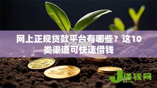 网上正规贷款平台有哪些?这10类渠道可快速借钱 网上正规贷款平台有哪些?这10类渠道可快速借钱