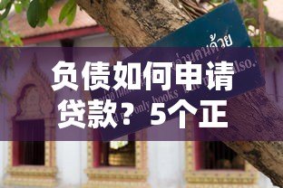 负债如何申请贷款?5个正规平台实测攻略 负债如何申请贷款?5个正规平台实测攻略