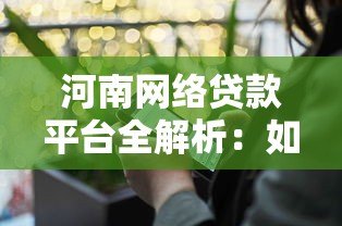 河南网络贷款平台全解析：如何安全高效申请贷款？
