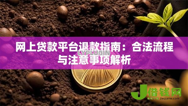 网上贷款平台退款指南:合法流程与注意事项解析 网上贷款平台退款指南:合法流程与注意事项解析