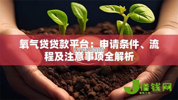 氧气贷贷款平台：申请条件、流程及注意事项全解析