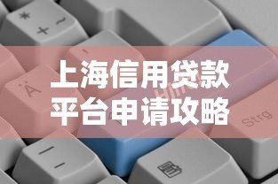 上海信用贷款平台申请攻略及风险解析