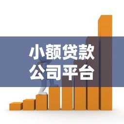 小额贷款公司平台:快速借款攻略与风险提示 小额贷款公司平台:快速借款攻略与风险提示