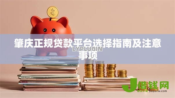 肇庆正规贷款平台选择指南及注意事项 肇庆正规贷款平台选择指南及注意事项