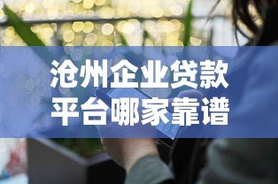 沧州企业贷款平台哪家靠谱？正规机构推荐及申请流程解析