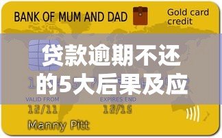 贷款逾期不还的5大后果及应对方法