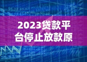 2023贷款平台停止放款原因及应对策略解析
