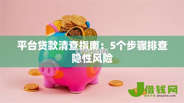 平台贷款清查指南:5个步骤排查隐性风险 平台贷款清查指南:5个步骤排查隐性风险