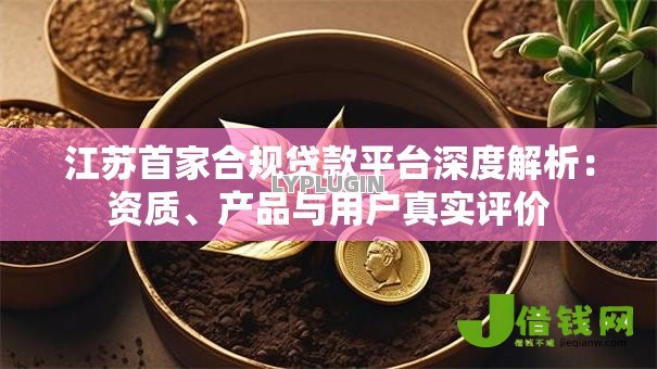 江苏首家合规贷款平台深度解析:资质、产品与用户真实评价 江苏首家合规贷款平台深度解析:资质、产品与用户真实评价