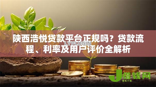 陕西浩悦贷款平台正规吗？贷款流程、利率及用户评价全解析