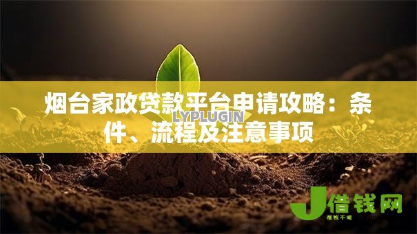 烟台家政贷款平台申请攻略:条件、流程及注意事项 烟台家政贷款平台申请攻略:条件、流程及注意事项