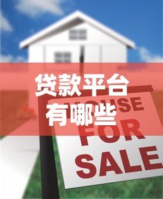贷款平台有哪些隐藏费用?全面解析常见收费项目 贷款平台有哪些隐藏费用?全面解析常见收费项目