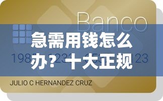 急需用钱怎么办?十大正规贷款平台推荐及避坑指南 急需用钱怎么办?十大正规贷款平台推荐及避坑指南