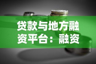 贷款与地方融资平台：融资渠道、政策影响及风险应对