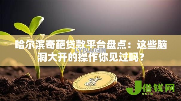 哈尔滨奇葩贷款平台盘点:这些脑洞大开的操作你见过吗? 哈尔滨奇葩贷款平台盘点:这些脑洞大开的操作你见过吗?