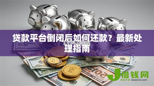 贷款平台倒闭后如何还款?最新处理指南 贷款平台倒闭后如何还款?最新处理指南