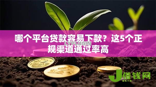 哪个平台贷款容易下款?这5个正规渠道通过率高 哪个平台贷款容易下款?这5个正规渠道通过率高