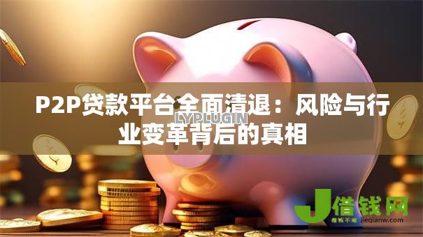 P2P贷款平台全面清退:风险与行业变革背后的真相 P2P贷款平台全面清退:风险与行业变革背后的真相