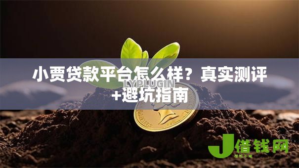 小贾贷款平台怎么样?真实测评+避坑指南 小贾贷款平台怎么样?真实测评+避坑指南
