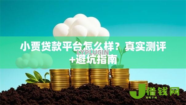 小贾贷款平台怎么样?真实测评+避坑指南 小贾贷款平台怎么样?真实测评+避坑指南