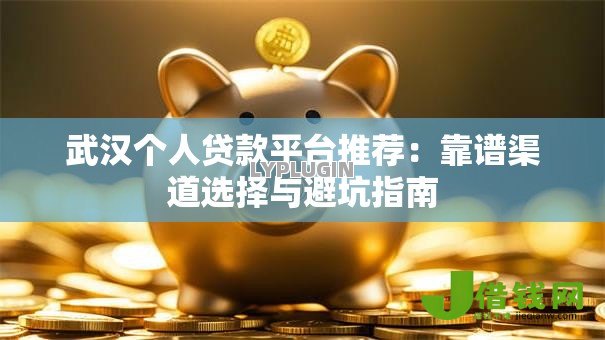 武汉个人贷款平台推荐：靠谱渠道选择与避坑指南