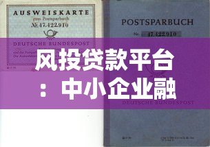风投贷款平台：中小企业融资新选择与风险避坑指南
