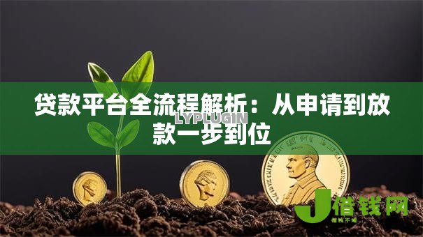 贷款平台全流程解析:从申请到放款一步到位 贷款平台全流程解析:从申请到放款一步到位