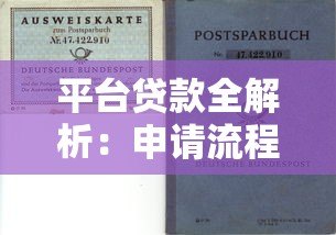 平台贷款全解析:申请流程、风险防范与最优选择指南 平台贷款全解析:申请流程、风险防范与最优选择指南