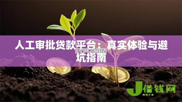 人工审批贷款平台:真实体验与避坑指南 人工审批贷款平台:真实体验与避坑指南
