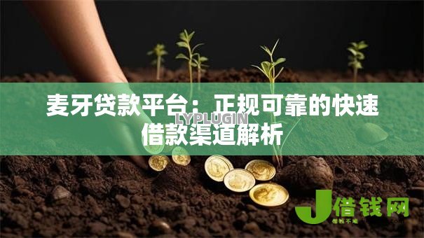 麦牙贷款平台:正规可靠的快速借款渠道解析 麦牙贷款平台:正规可靠的快速借款渠道解析