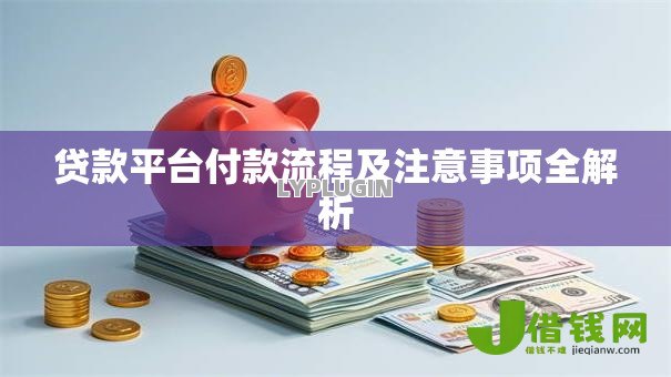 贷款平台付款流程及注意事项全解析 贷款平台付款流程及注意事项全解析