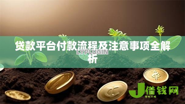 贷款平台付款流程及注意事项全解析 贷款平台付款流程及注意事项全解析