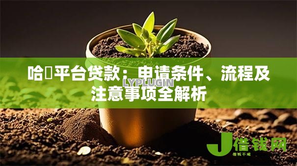 哈啰平台贷款：申请条件、流程及注意事项全解析