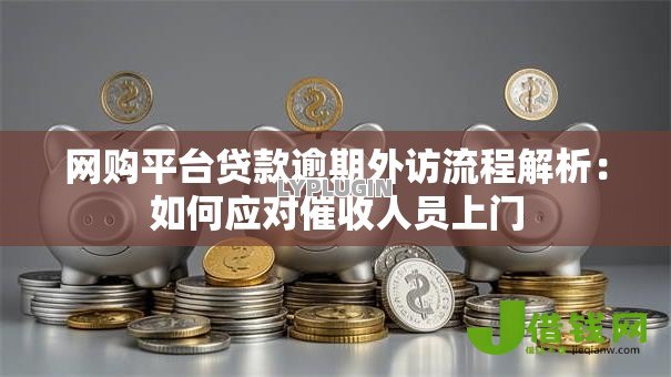 网购平台贷款逾期外访流程解析：如何应对催收人员上门