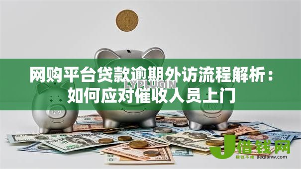 网购平台贷款逾期外访流程解析：如何应对催收人员上门