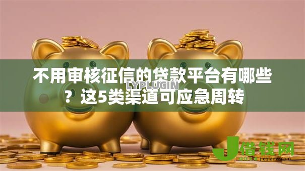 不用审核征信的贷款平台有哪些?这5类渠道可应急周转 不用审核征信的贷款平台有哪些?这5类渠道可应急周转