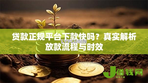 贷款正规平台下款快吗？真实解析放款流程与时效