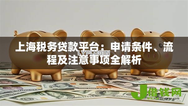 上海税务贷款平台:申请条件、流程及注意事项全解析 上海税务贷款平台:申请条件、流程及注意事项全解析