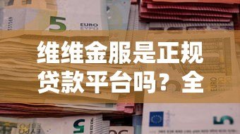 维维金服是正规贷款平台吗?全面解析其服务模式与资质 维维金服是正规贷款平台吗?全面解析其服务模式与资质
