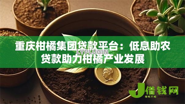重庆柑橘集团贷款平台:低息助农贷款助力柑橘产业发展 重庆柑橘集团贷款平台:低息助农贷款助力柑橘产业发展