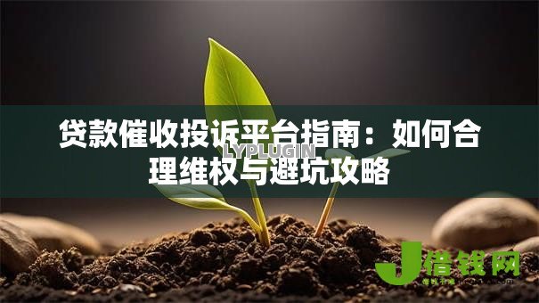贷款催收投诉平台指南：如何合理维权与避坑攻略