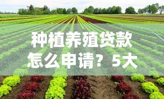 种植养殖贷款怎么申请？5大正规平台条件及流程详解