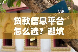 贷款信息平台怎么选?避坑指南与实用技巧 贷款信息平台怎么选?避坑指南与实用技巧