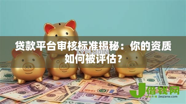 贷款平台审核标准揭秘:你的资质如何被评估? 贷款平台审核标准揭秘:你的资质如何被评估?