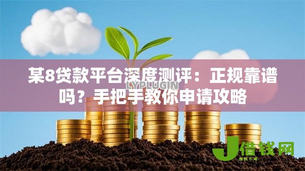 某8贷款平台深度测评：正规靠谱吗？手把手教你申请攻略