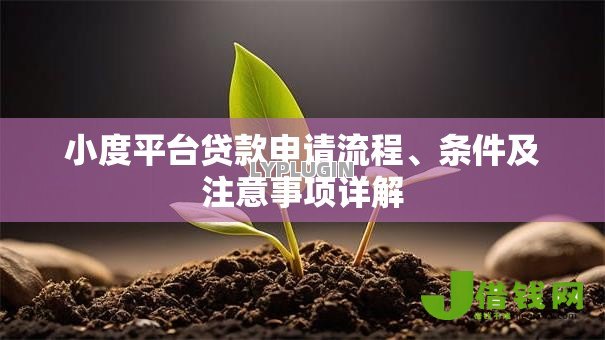小度平台贷款申请流程、条件及注意事项详解