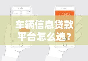 车辆信息贷款平台怎么选?申请流程与避坑指南 车辆信息贷款平台怎么选?申请流程与避坑指南