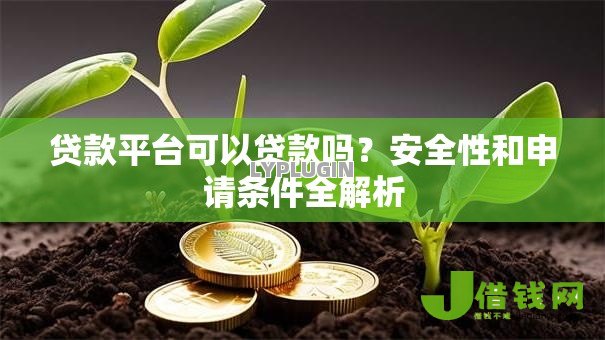 贷款平台可以贷款吗?安全性和申请条件全解析 贷款平台可以贷款吗?安全性和申请条件全解析