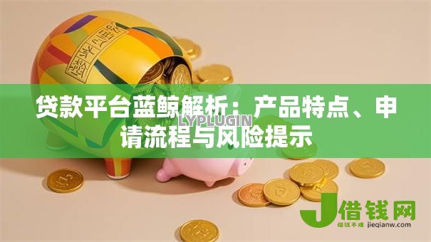 贷款平台蓝鲸解析：产品特点、申请流程与风险提示