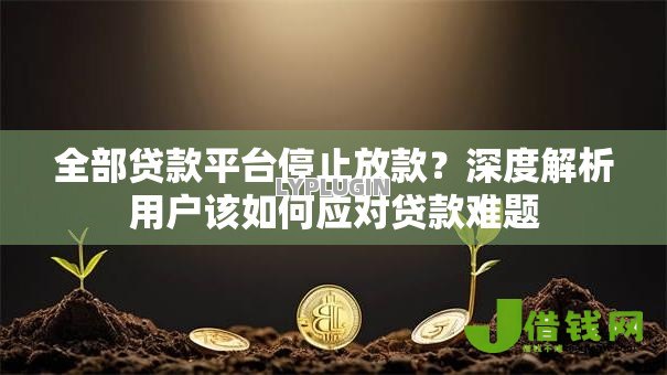 全部贷款平台停止放款?深度解析用户该如何应对贷款难题 全部贷款平台停止放款?深度解析用户该如何应对贷款难题